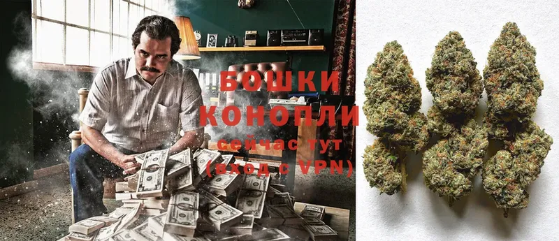 Бошки марихуана OG Kush  даркнет официальный сайт  Златоуст 